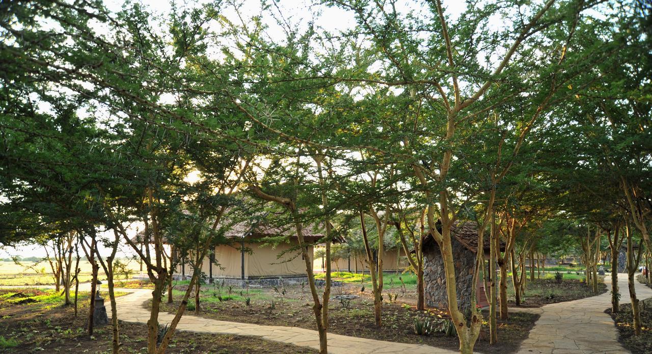 Sweetwaters Serena Camp Nanyuki Exterior foto